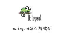 notepad++怎么格式化