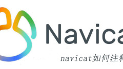 So kommentieren Sie Navicat