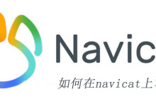 如何在navicat上写语句