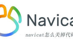 navicat怎麼關掉程式碼補全