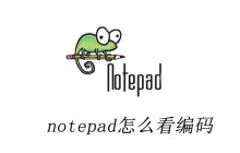 notepad++怎么看编码