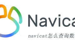 How to query the database with navicat