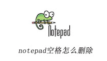 notepad空格怎么删除