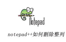 notepad++如何删除整列