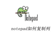 notepad如何复制列