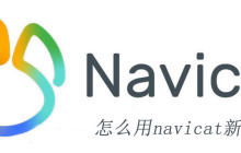 怎么用navicat新建表