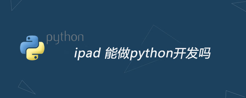 ipad 能做python开发吗