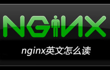 nginx英文怎么读