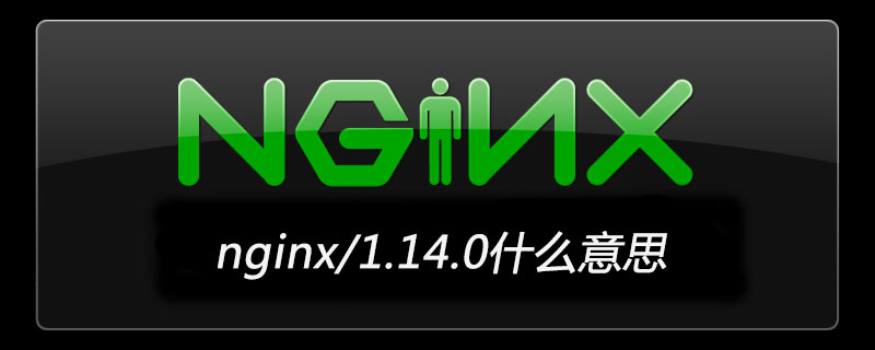 nginx/1.14.0 とはどういう意味ですか?