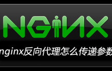 nginx反向代理怎么传递参数
