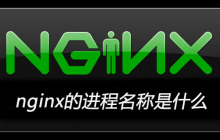 nginx的进程名称是什么