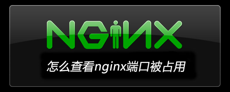 怎么查看nginx端口被占用-小浪學習網(wǎng)
