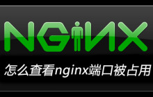 怎么查看nginx端口被占用