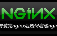 安装完nginx后如何启动nginx