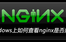 windows上如何查看nginx是否启动