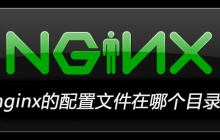 nginx的配置文件在哪个目录下