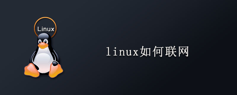 linux如何聯網-小浪學習網