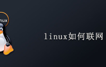 linux如何联网