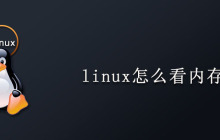 linux怎么看内存