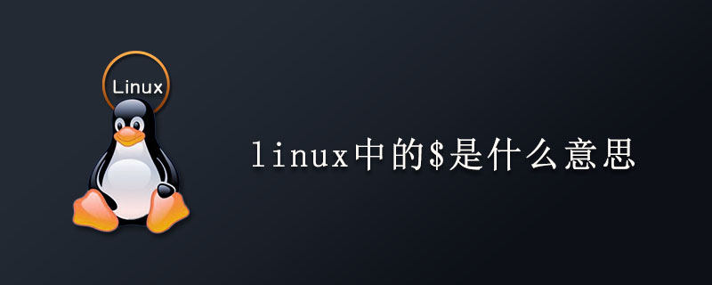 linux中的$是什么意思