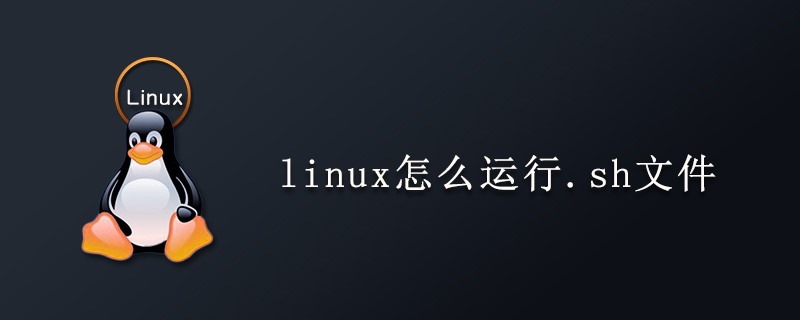 linux怎么运行.sh文件-小浪学习网