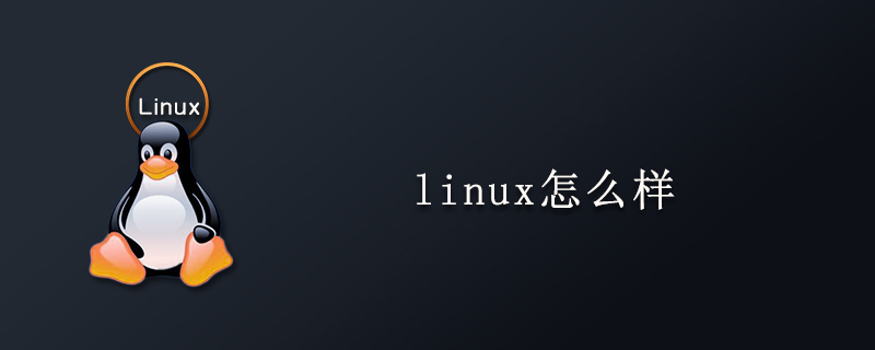 linux怎么样-小浪学习网