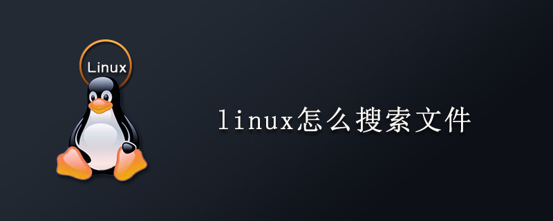 linux怎么搜索文件-小浪學習網