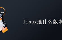 linux选什么版本