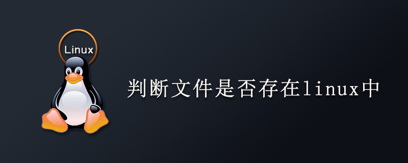 判断文件是否存在linux中