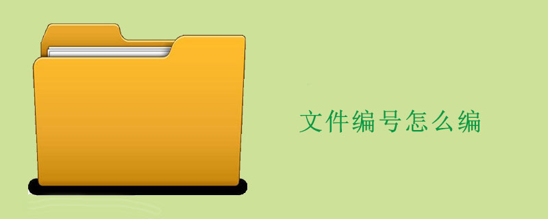 文件编号怎么编