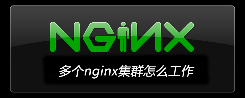 多个nginx集群怎么工作-小浪学习网