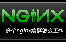 多个nginx集群怎么工作