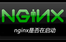 nginx是否在启动