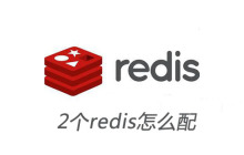 2个redis怎么配