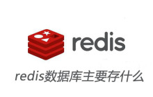 redis数据库主要存什么