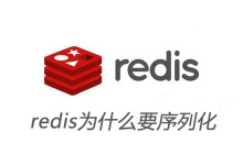 redis为什么要序列化