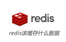redis该缓存什么数据