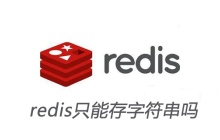 redis只能存字符串吗