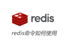 redis命令如何使用