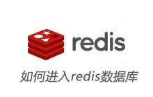 如何进入redis数据库