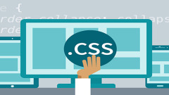 CSS 표 테두리를 설정하는 데 어떤 속성이 사용됩니까?