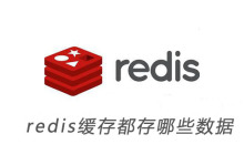 redis缓存都存哪些数据