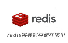 redis将数据存储在哪里
