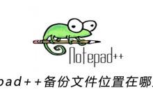 notepad++备份文件位置在哪里设置