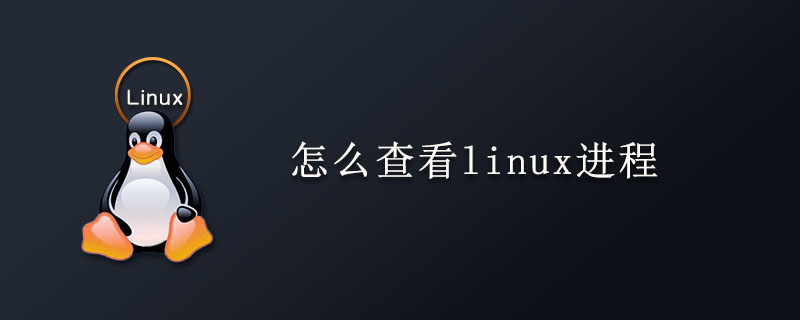 怎么查看linux进程