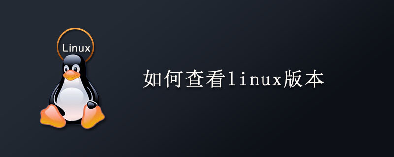 如何查看linux版本-小浪學習網