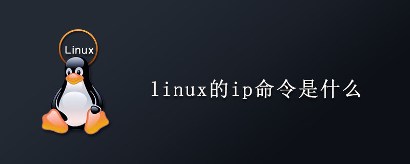 linux的ip命令是什么