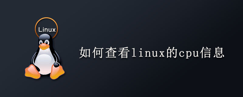 如何查看linux的cpu信息