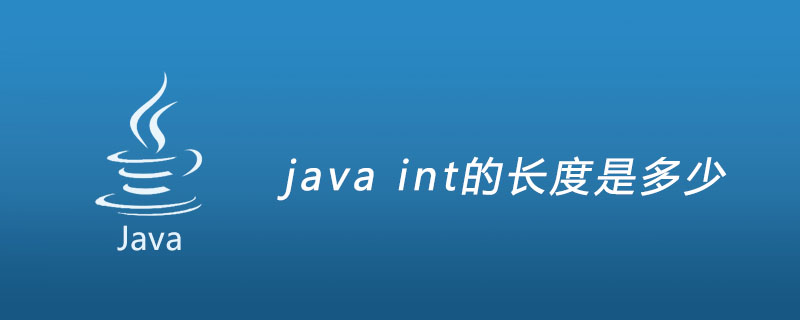 java int的长度是多少