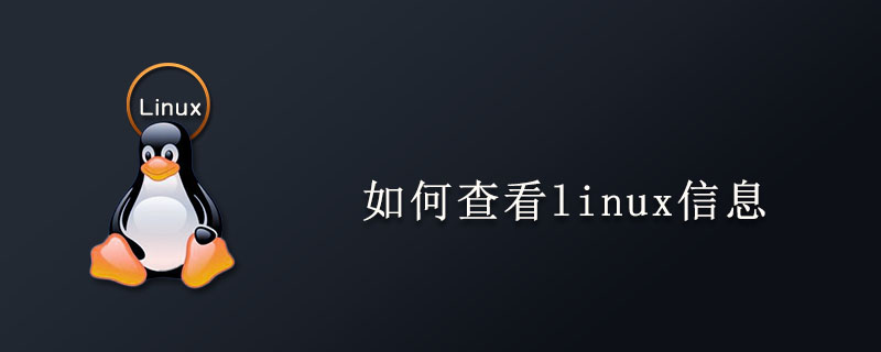 如何查看linux信息-小浪學習網